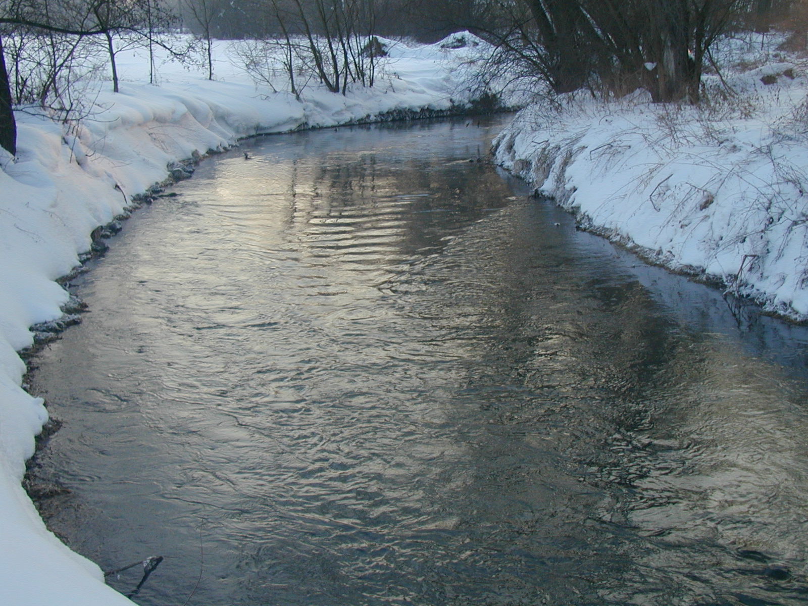 Zima 2010